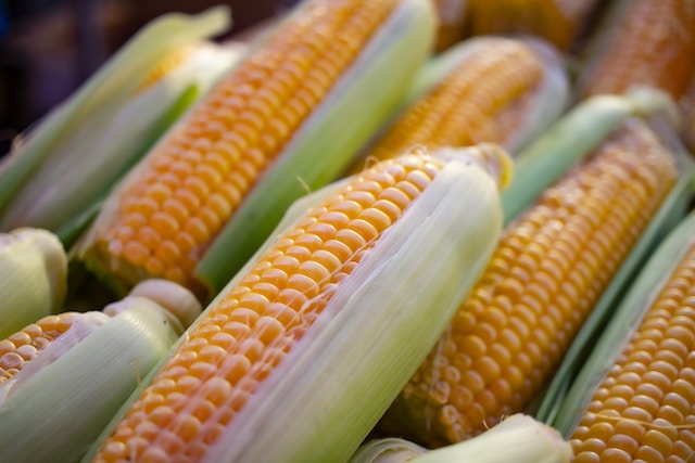 90% of US corn is grown from neonicotinoid-coated seeds.