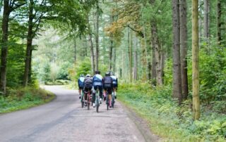 A group of road cyclists on a quiet tree-lined country lane.